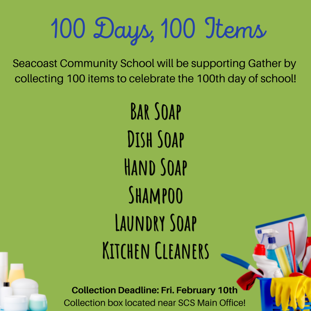 100 days 100 items